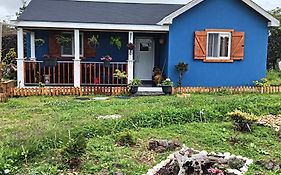 Quinta Oliveira Woodhouse